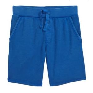 Tucker and Tate blue stretch knit shorts